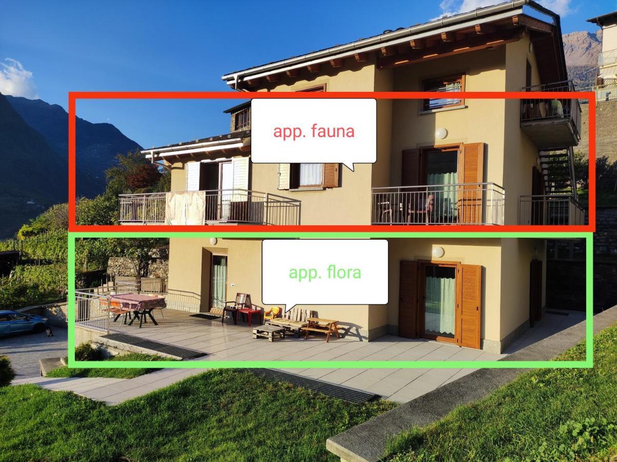 Pisolo Selvaggio Apartment Tirano Exterior photo